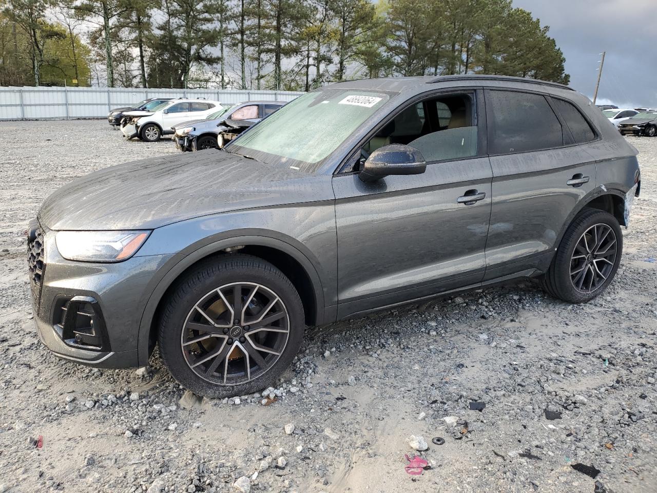 Audi Sq5 (2022)