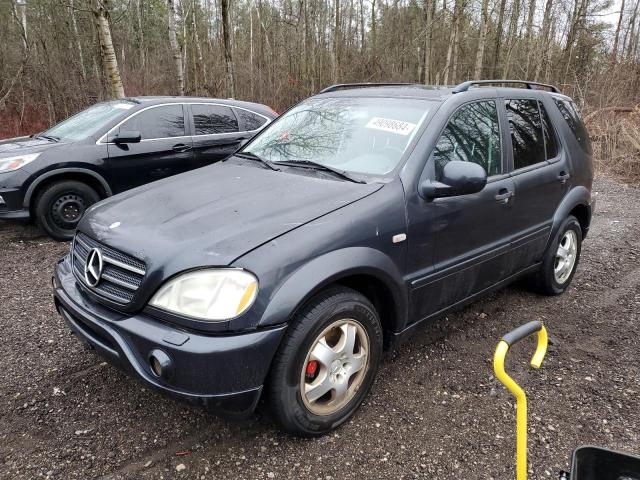Mercedes-benz M-class (2000)