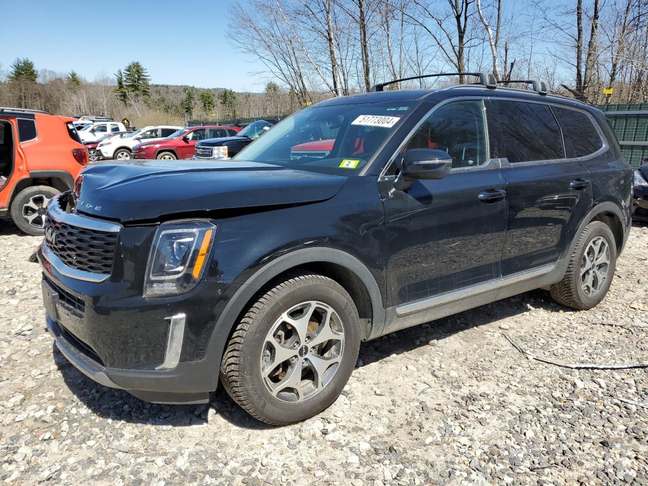 Kia Telluride (2022)