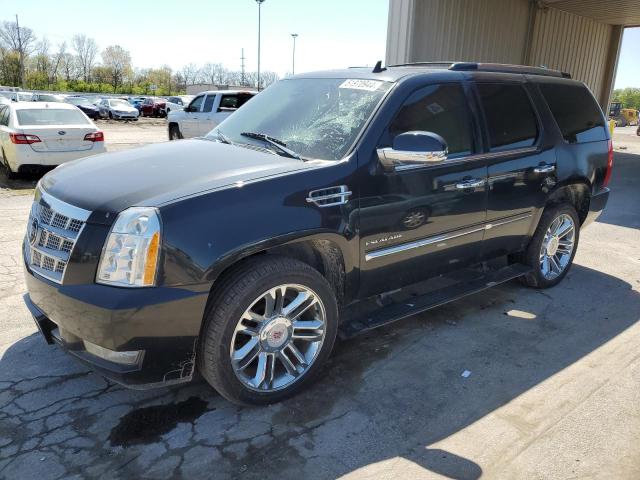 Cadillac Escalade (2011)