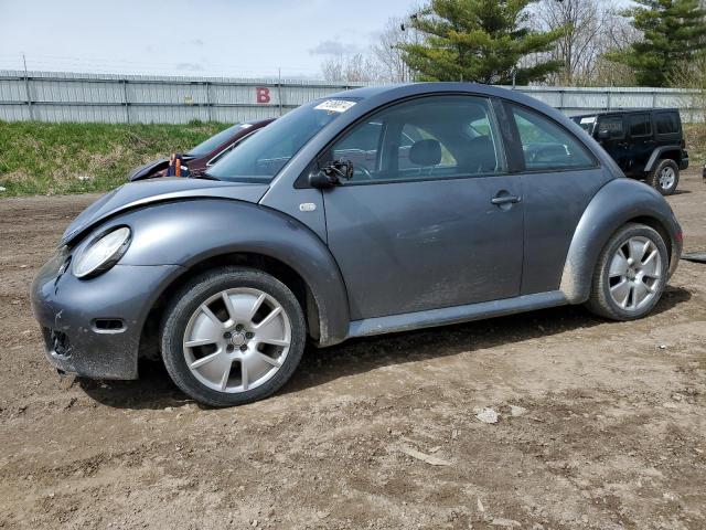 Volkswagen Beetle (2003)