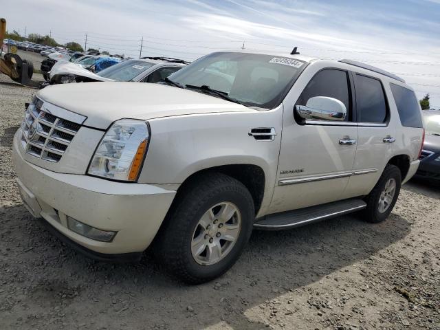 Cadillac Escalade (2010)