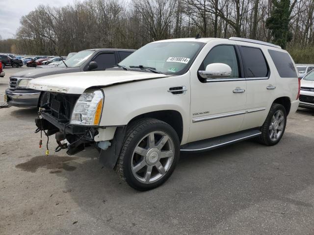 Cadillac Escalade (2011)