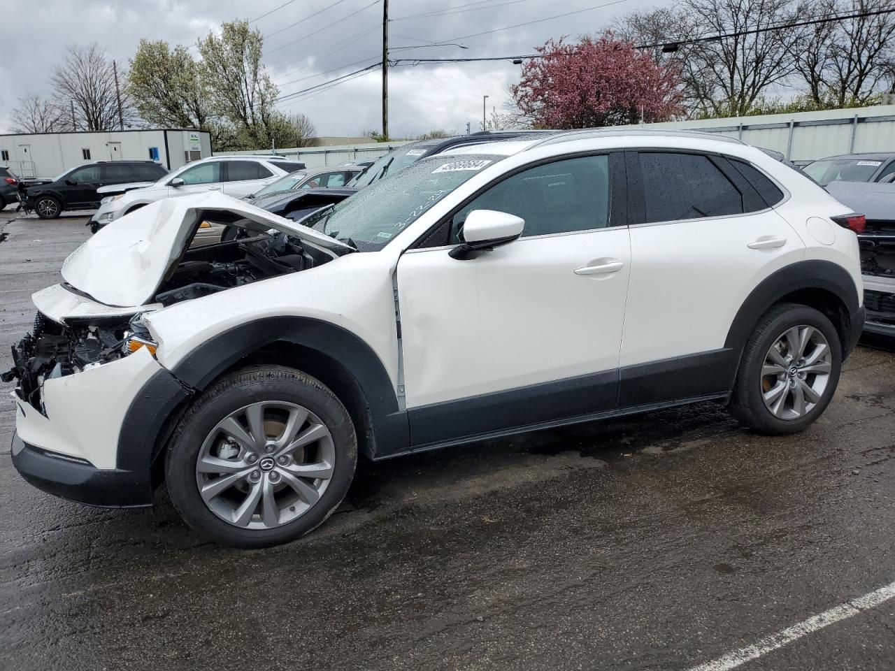 Mazda Cx-30 (2023)