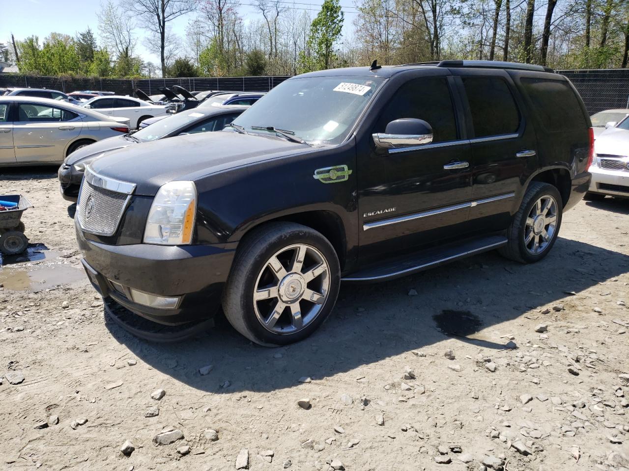 Cadillac Escalade (2010)