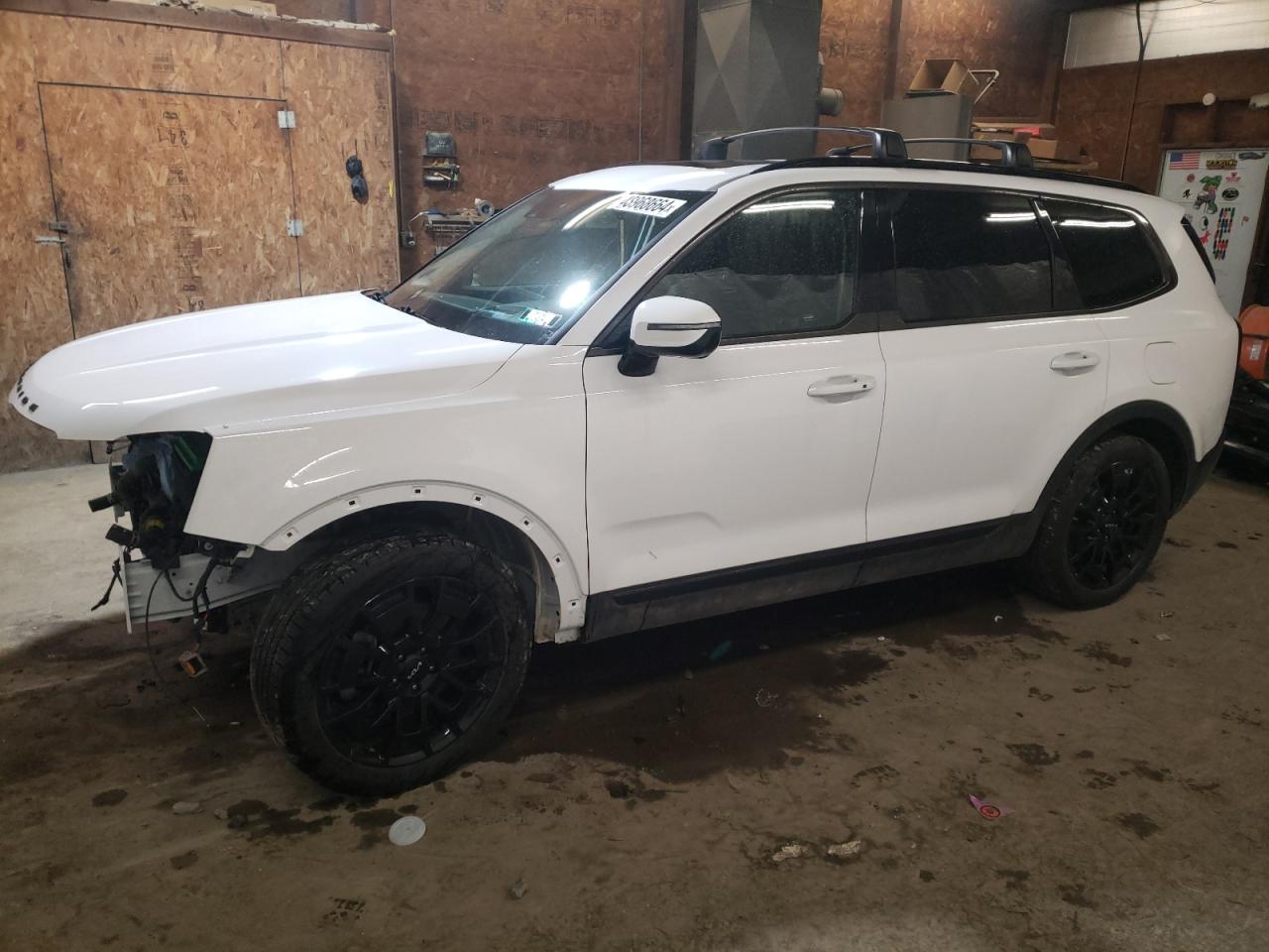 Kia Telluride (2022)