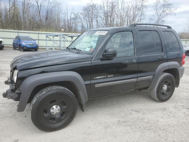 Jeep Liberty (2003)