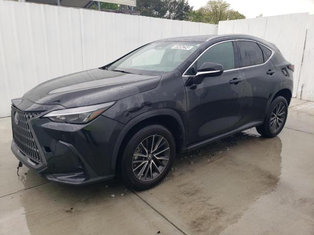 Lexus Nx 350 (2022)