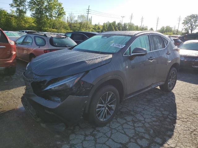 Lexus Nx 350 (2022)