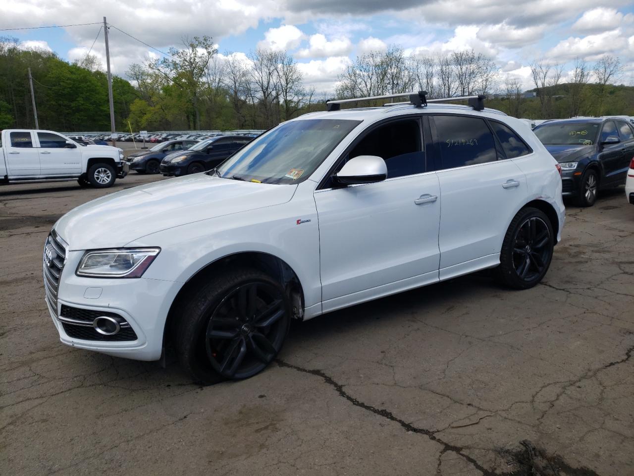 Audi Sq5 (2015)