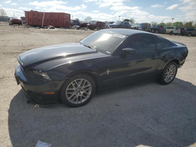 Ford All models (2013)