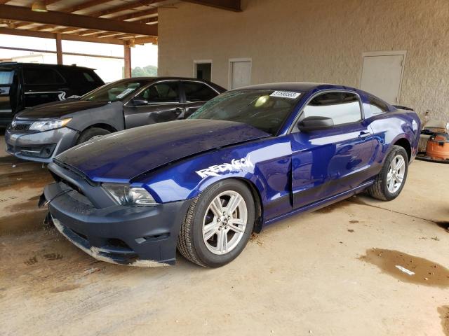 Ford All models (2013)