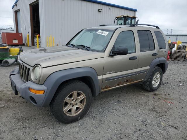 Jeep Liberty (2004)