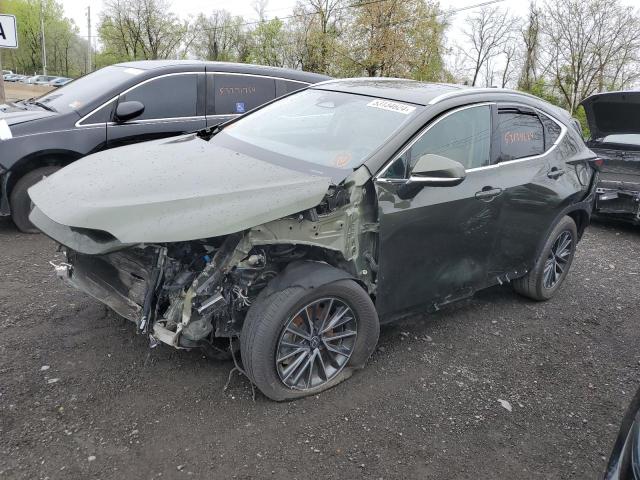 Lexus Nx 250 pre (2024)