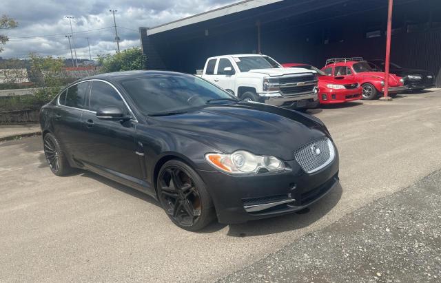 Jaguar Xf superch (2011)