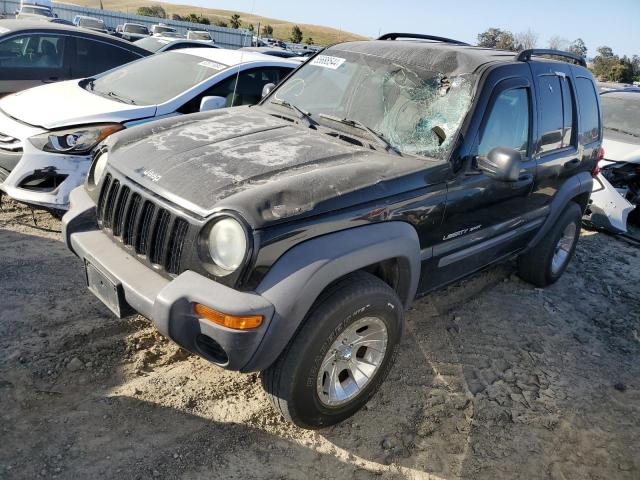 Jeep Liberty (2003)
