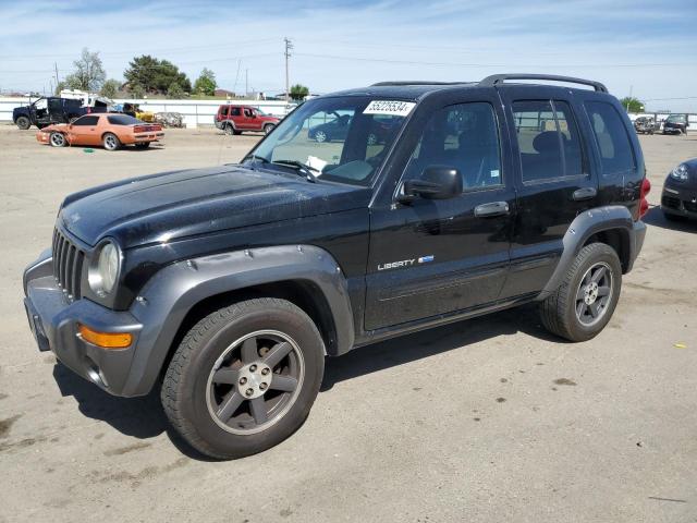 Jeep Liberty (2003)