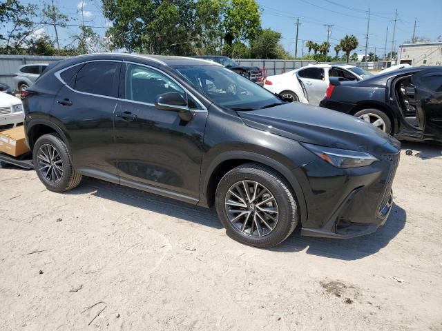 Lexus Nx 250 pre (2024)