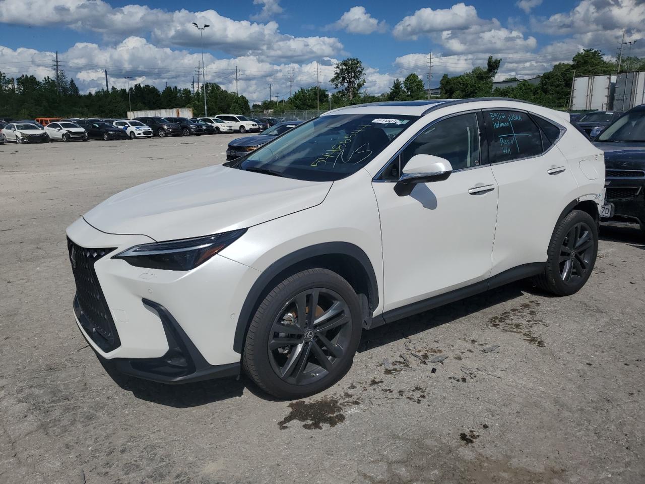 Lexus Nx-300h (2023)