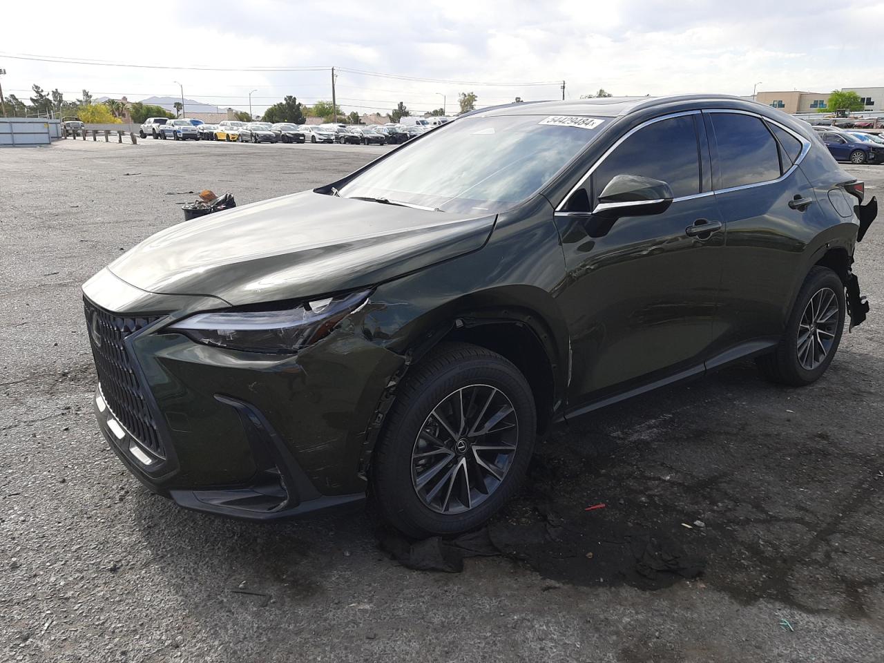 Lexus Nx-300h (2024)