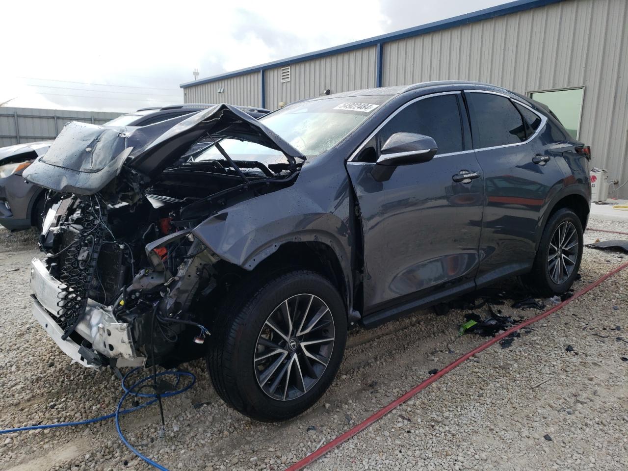 Lexus Nx-300h (2024)