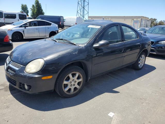Dodge Neon (2003)