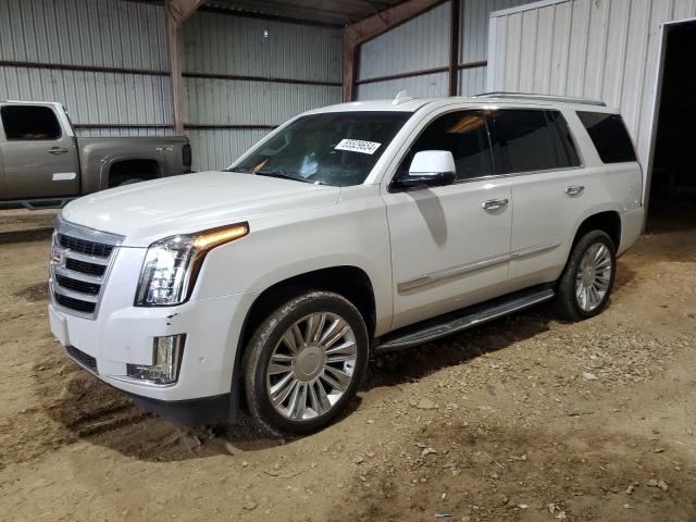 Cadillac Escalade (2017)