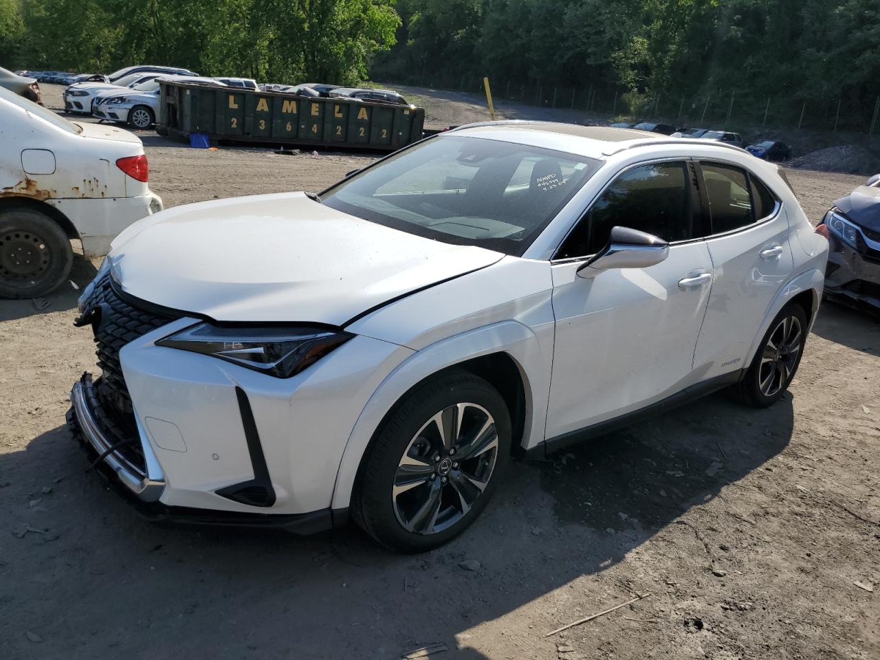 Lexus Nx-300h (2022)