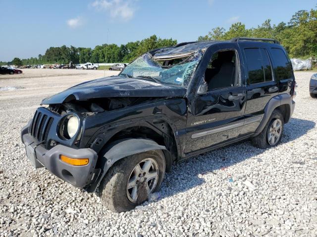 Jeep Liberty (2002)