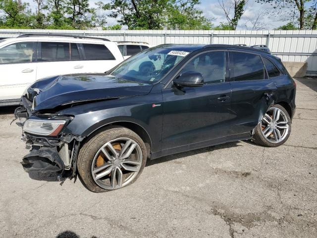 Audi Sq5 (2015)