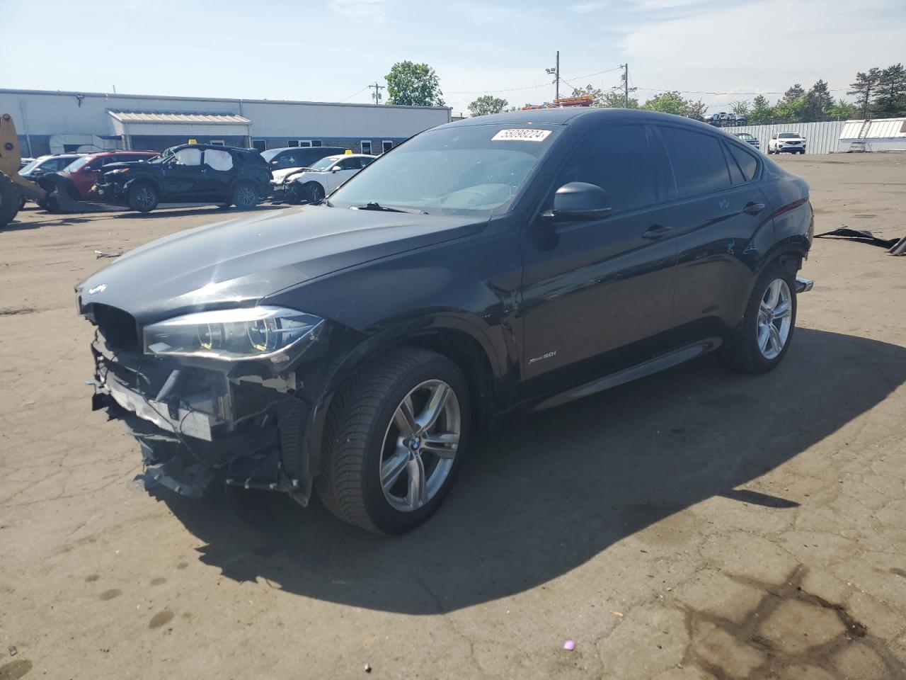 Bmw X6 (2015)