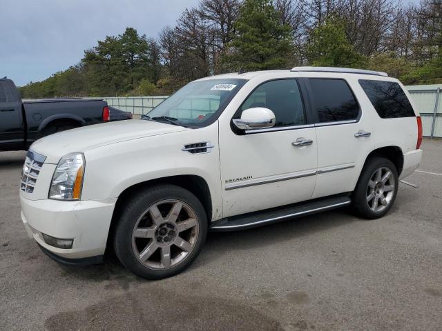 Cadillac Escalade (2011)