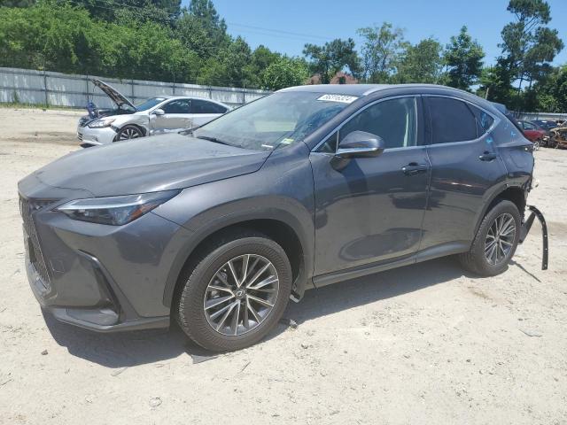 Lexus Nx 350 (2022)