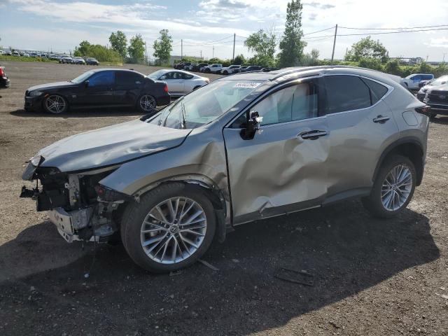 Lexus Nx 350 pre (2024)
