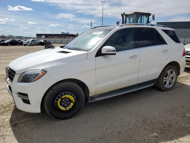 Mercedes-benz M-class (2014)