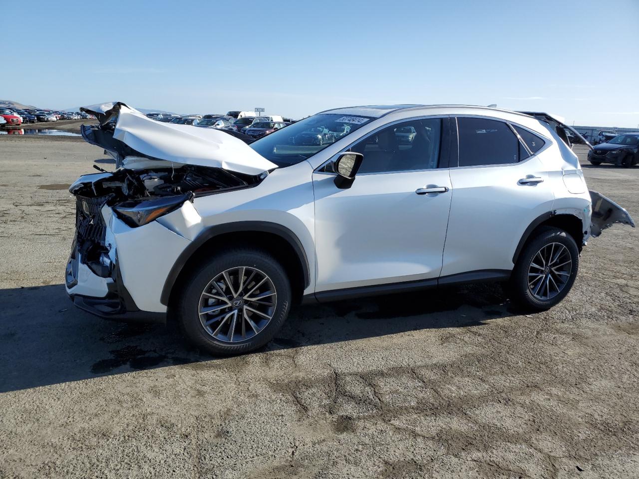 Lexus Nx-300h (2024)