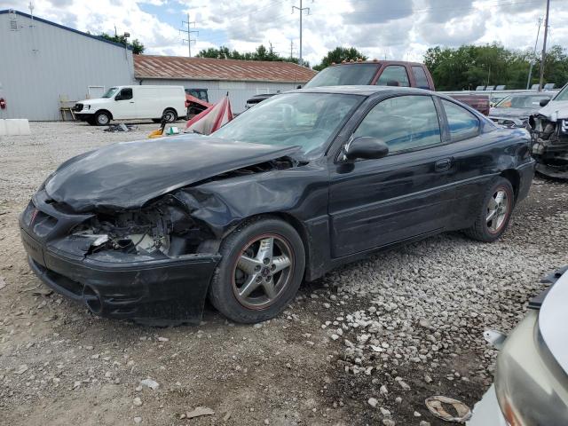 Pontiac Grandam (2004)