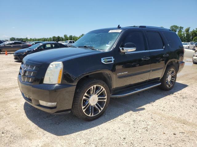 Cadillac Escalade (2013)