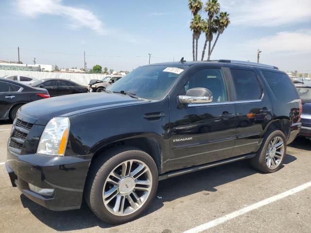 Cadillac Escalade (2014)