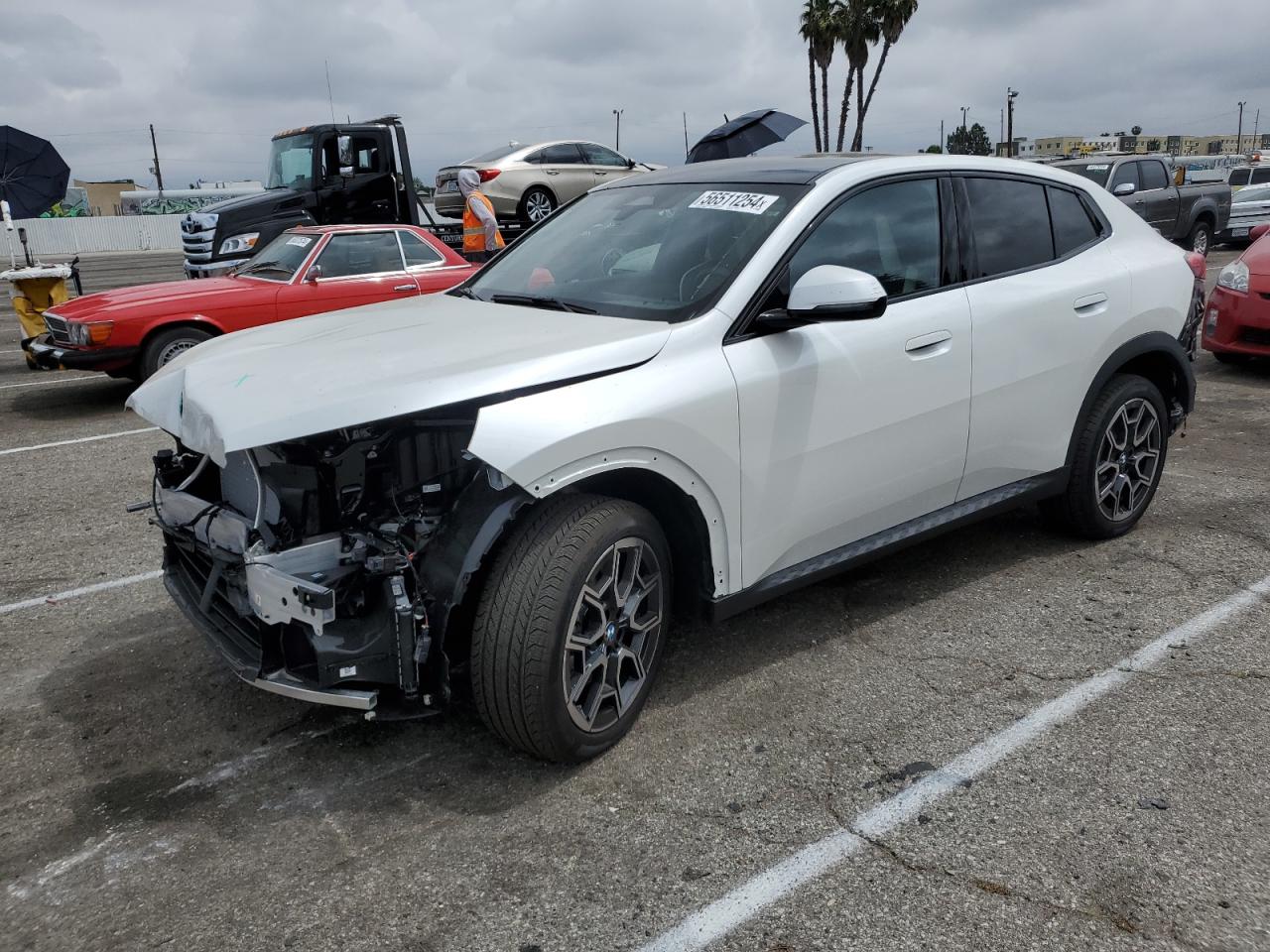 Bmw X2 (2024)
