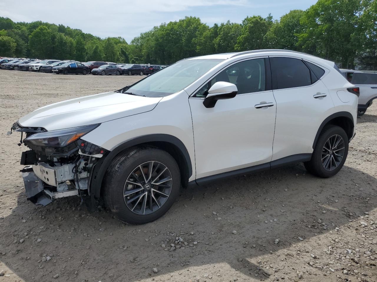 Lexus Nx-300h (2024)
