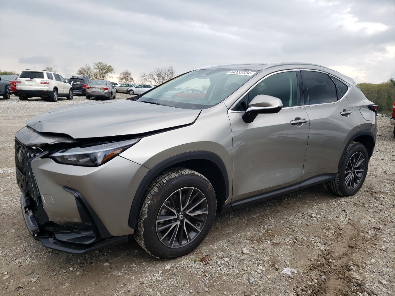 Lexus Nx-300h (2024)