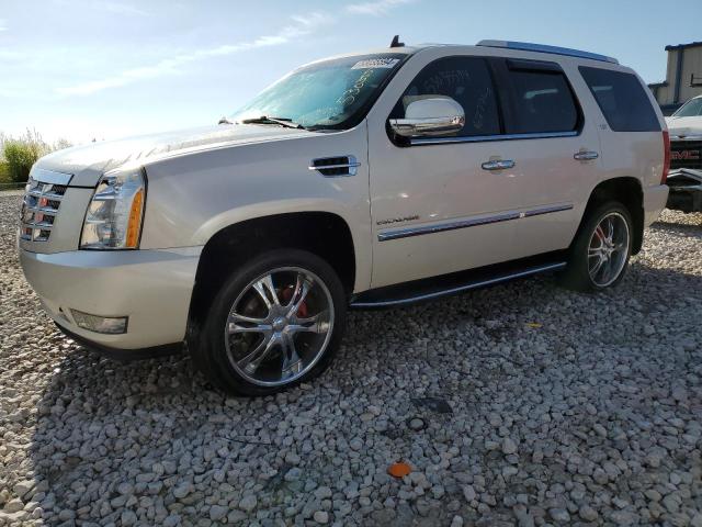 Cadillac Escalade (2010)
