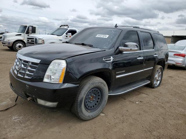 Cadillac Escalade (2012)