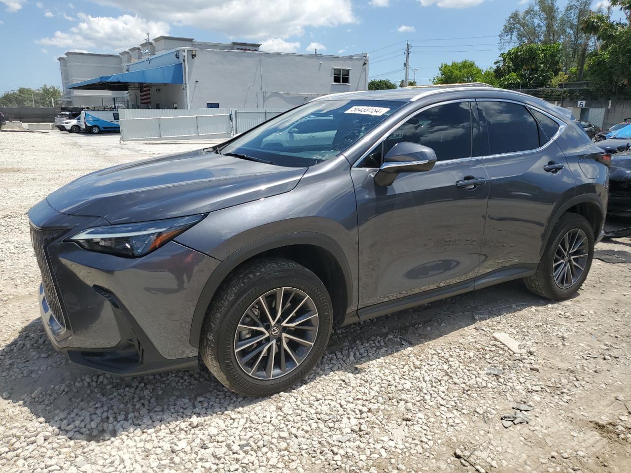 Lexus Nx-300h (2023)