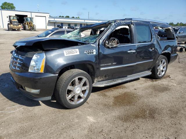 Cadillac Escalade (2010)