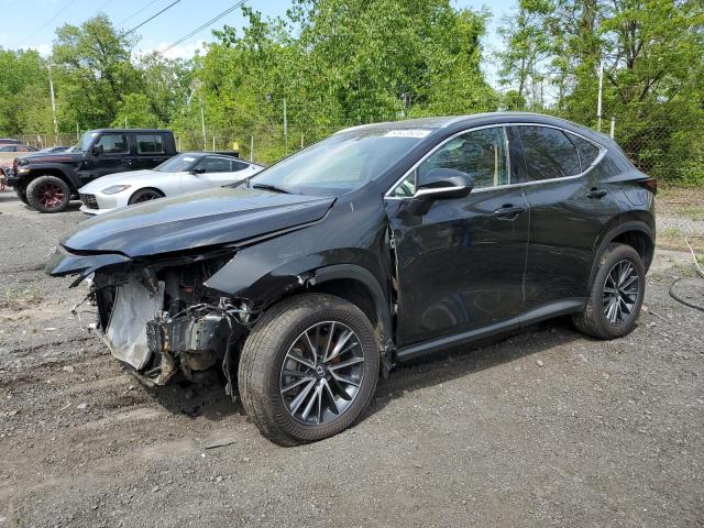 Lexus Nx 350 pre (2024)
