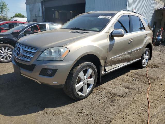 Mercedes-benz M-class (2010)