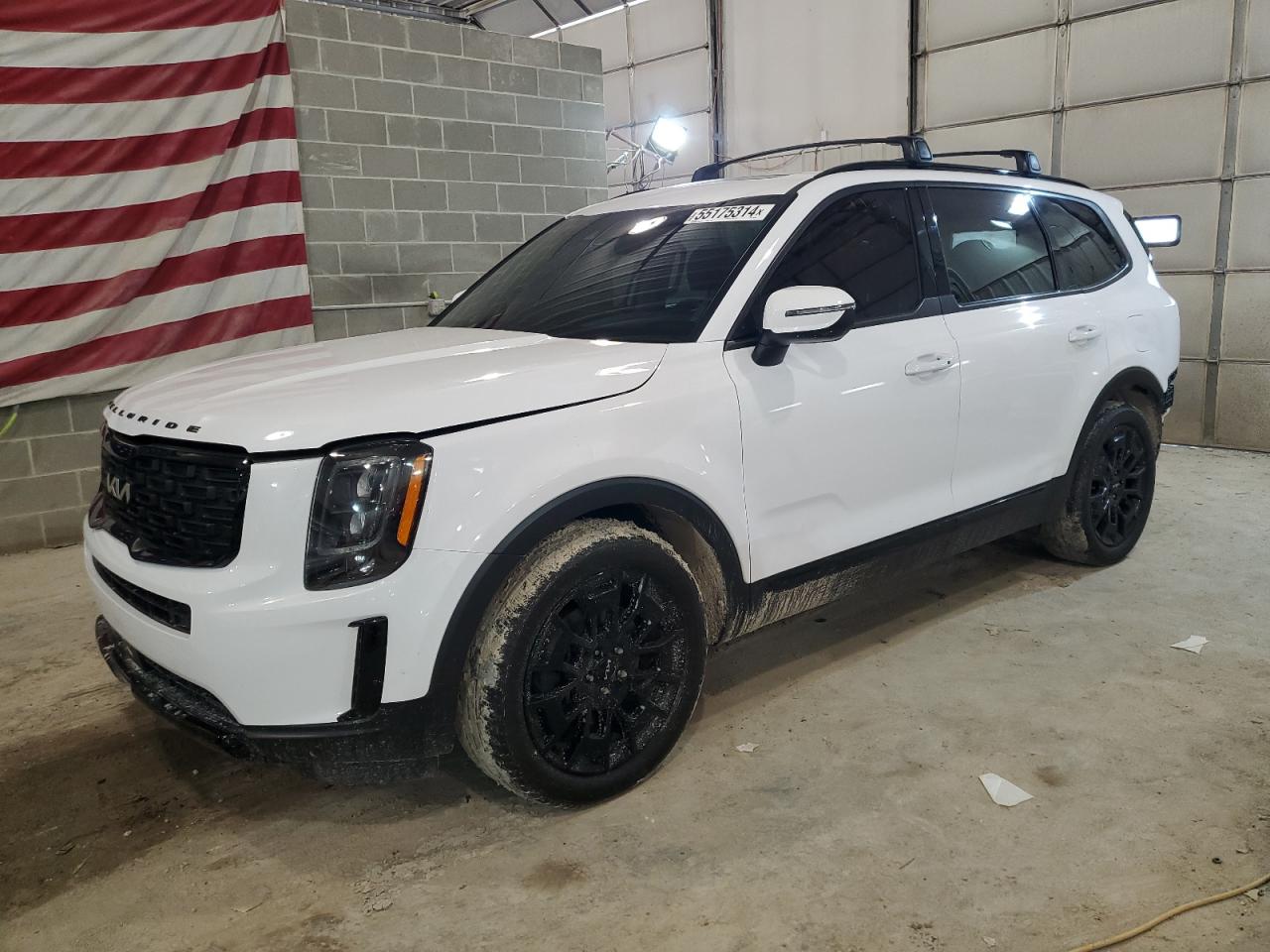 Kia Telluride (2022)