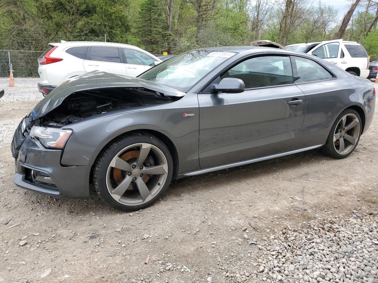 Audi Rs5 (2015)